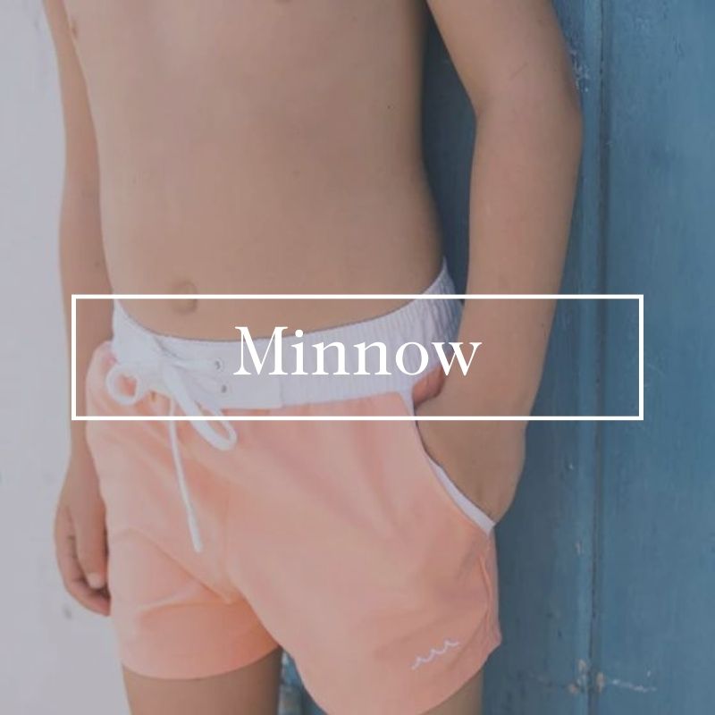 Minnow